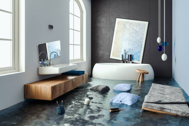 Best Professional water damage repair  in Del Monte Forest, CA