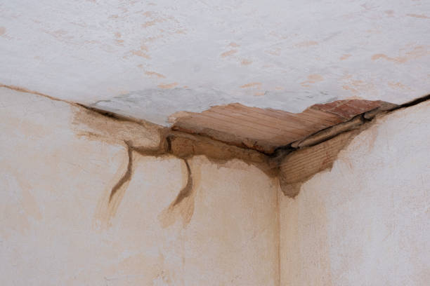 Best 24/7 water damage repair  in Del Monte Forest, CA