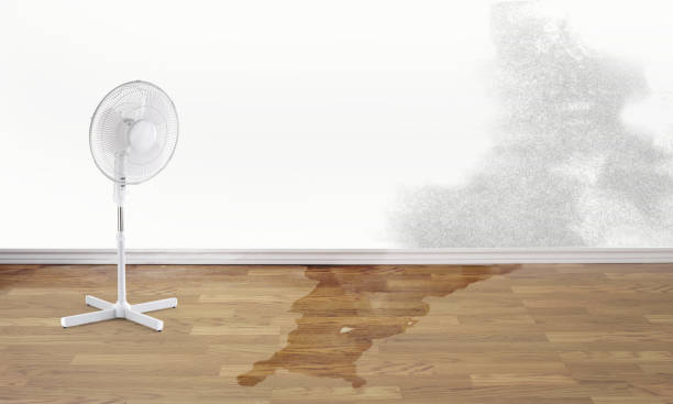 Best Basement water damage restoration  in Del Monte Forest, CA