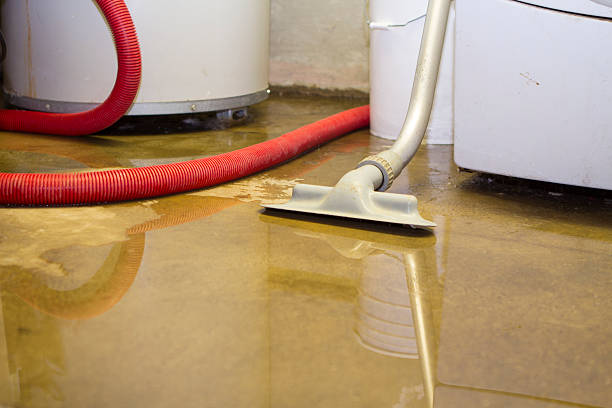 Best Local water damage restoration  in Del Monte Forest, CA