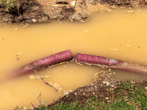 Best Residential water damage restoration  in Del Monte Forest, CA