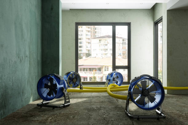 Del Monte Forest, CA Water damage restoration Company
